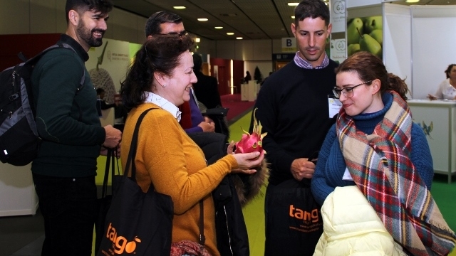 Vietnam’s dragon fruits introduced at Berlin international fair 