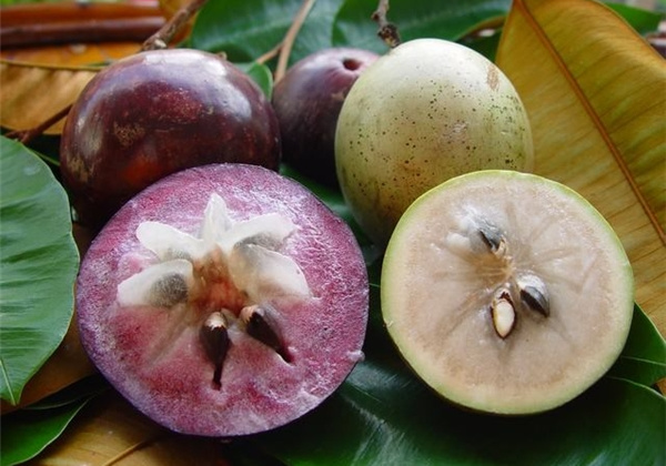 Vú sữa Tiền Giang xuất sang Hoa Kỳ