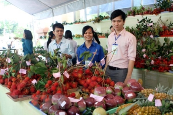 Hỗ trợ doanh nghiệp giảm rủi ro khi xuất khẩu nông sản sang Hàn Quốc