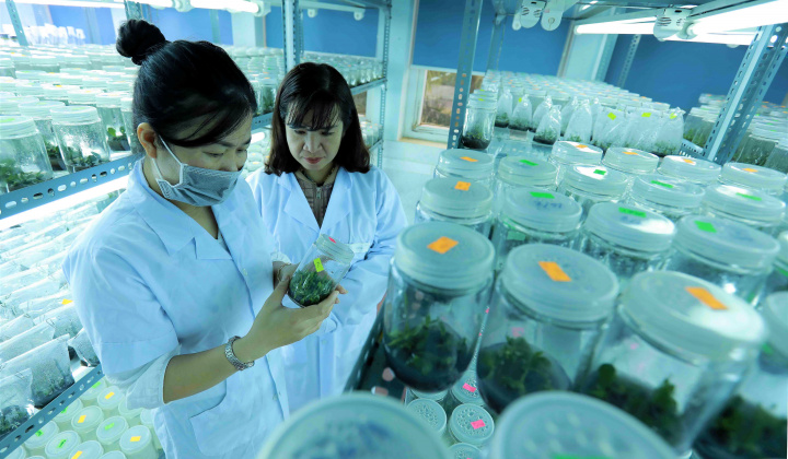 Nestlé Việt Nam và La Vie công bố mục tiêu hoàn trả 100% lượng nước sử dụng trong sản xuất năm 2025