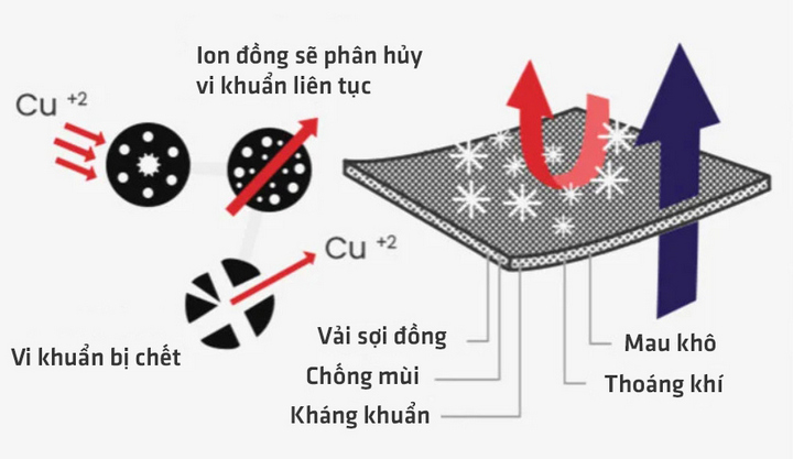 Công nghệ mới tạo ra loại đồ lót có thể tự làm sạch