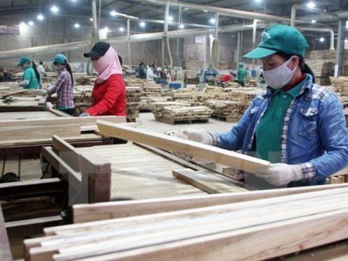 Hơn 59% doanh nghiệp dự báo kinh doanh ổn định và thuận lợi hơn