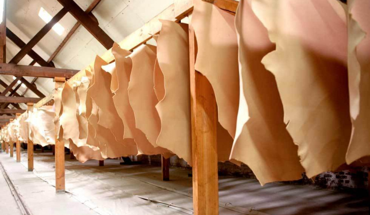 Ngành da Bồ Đào Nha có mức tăng trưởng ấn tượng