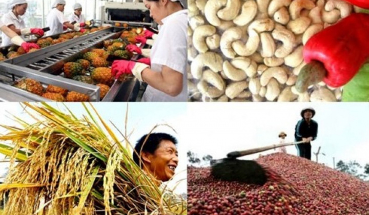 Ngành Nông nghiệp xuất siêu 7,45 tỷ USD trong 11 tháng