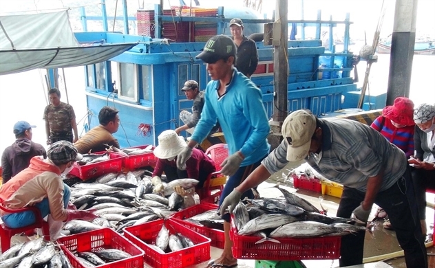 Thuỷ sản Việt Nam hồi hộp chờ phán quyết từ châu Âu