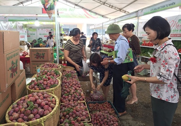 Khai mạc Tuần lễ Mận và nông sản an toàn Sơn La 2019 tại Hà Nội