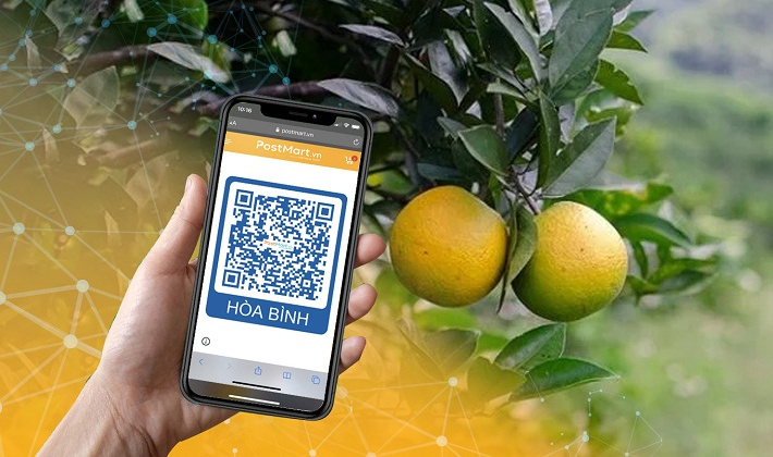 Sàn Thương mại điện tử Postmart.vn cùng nông dân thực hiện chuyển đổi số