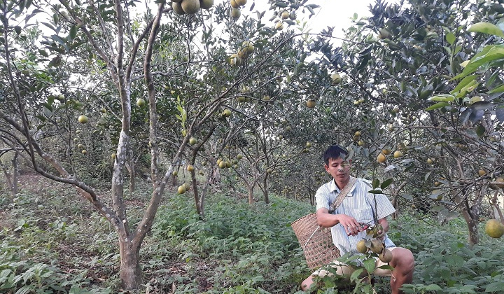 Mường Nhé: Xóa đói giảm nghèo nhờ xây dựng nông thôn mới