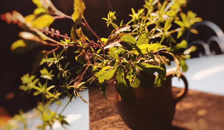 Sáng tạo không giới hạn với món “thuốc nổ”