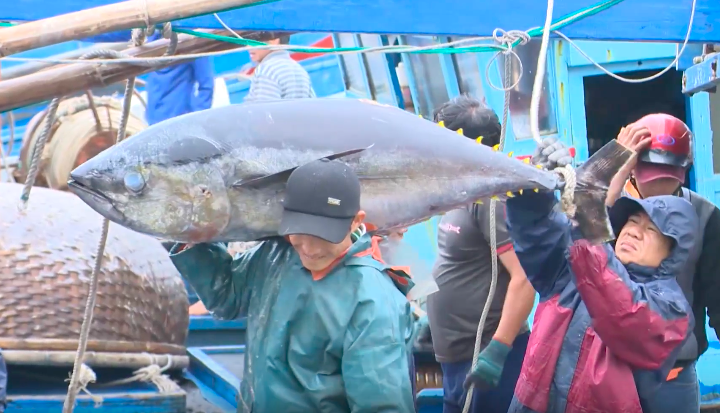 Đầu năm đi biển với máy làm đá tuyết từ nước biển – ngư dân mừng phát khóc