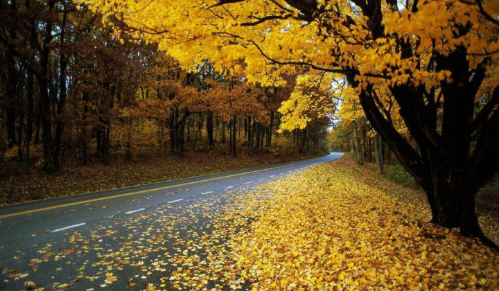 Chuyện chiều thứ 6: Có phải mùa thu giấu ta lâu đến thế…