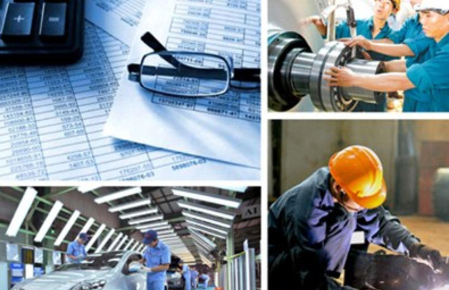 Phát triển kinh tế tư nhân - Một động lực quan trọng của tỉnh Bạc Liêu