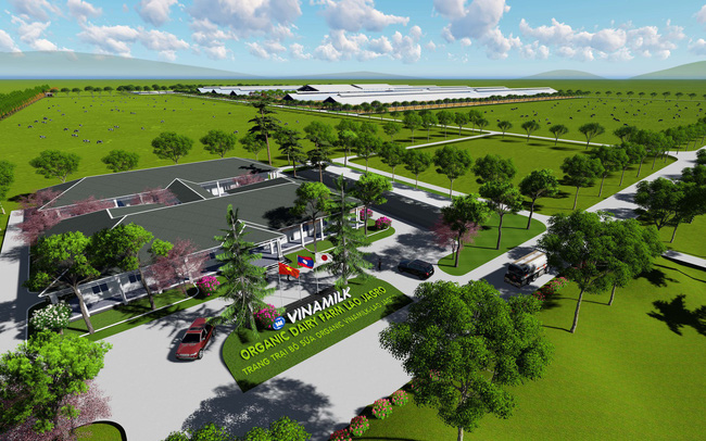 Vinamilk khởi công tổ hợp “Resort” bò sữa Organic tại Lào