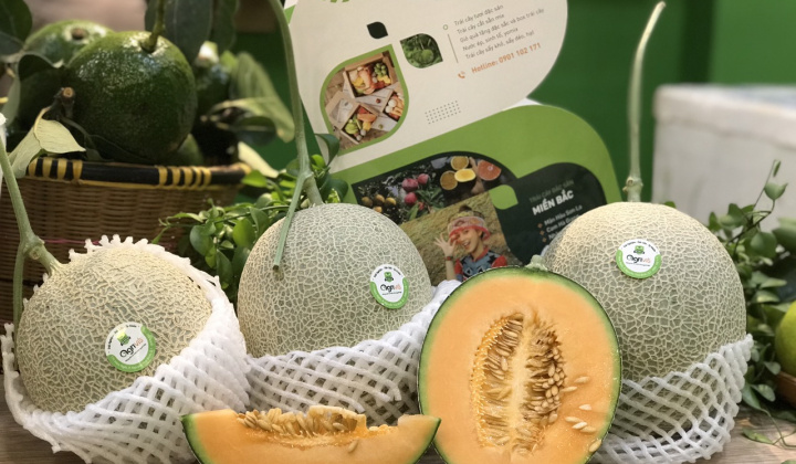 Mô hình trải nghiệm trái cây đặc Sản  tự nhiên