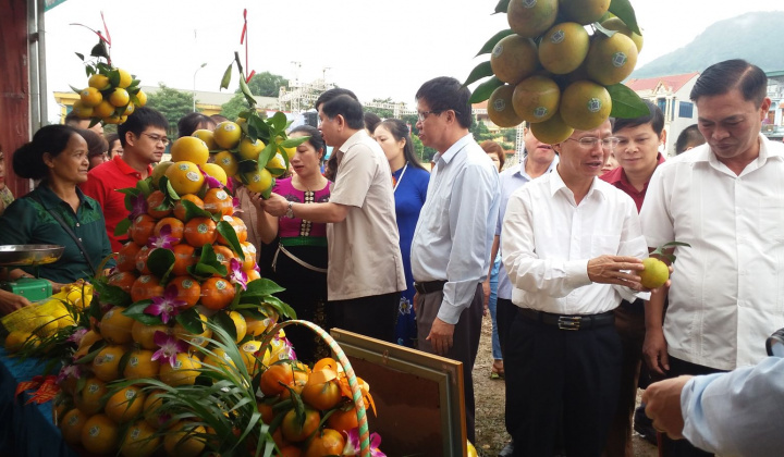 Tưng bừng Ngày hội cam huyện Phù Yên, tỉnh Sơn La 2018