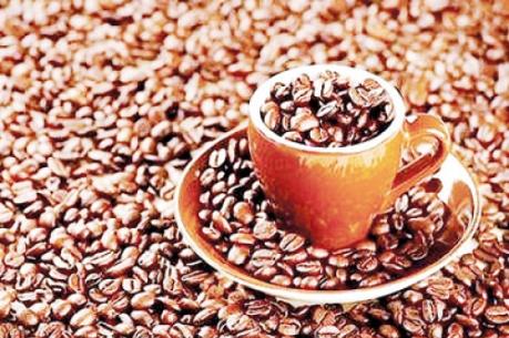 Nhà máy TATA Coffee Việt Nam chính thức đi vào hoạt động