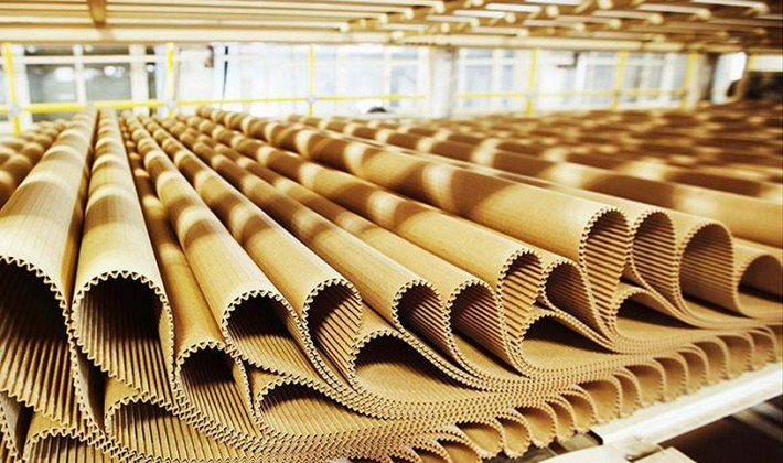 Covid -19: Cần quan tâm đến nguồn nguyên liệu giấy thu hồi trong nước