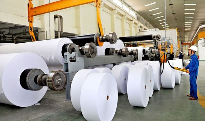 Chuyển đổi nhiên liệu hiệu quả - Giải pháp năng lượng cho ngành Giấy