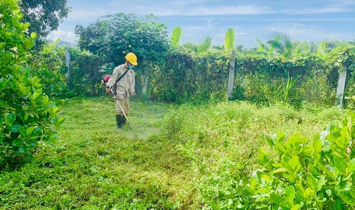 Thủy điện An Khê - Ka Nak luôn gắn sản xuất với bảo vệ môi trường