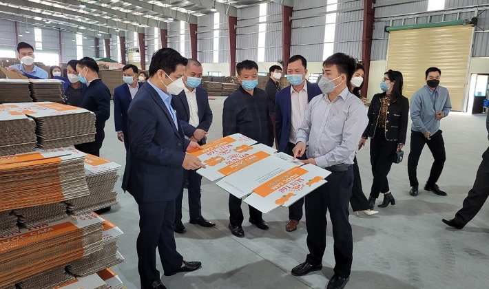Khuyến công Bắc Ninh: Nhân rộng mô hình sản xuất các sản phẩm bao bì carton