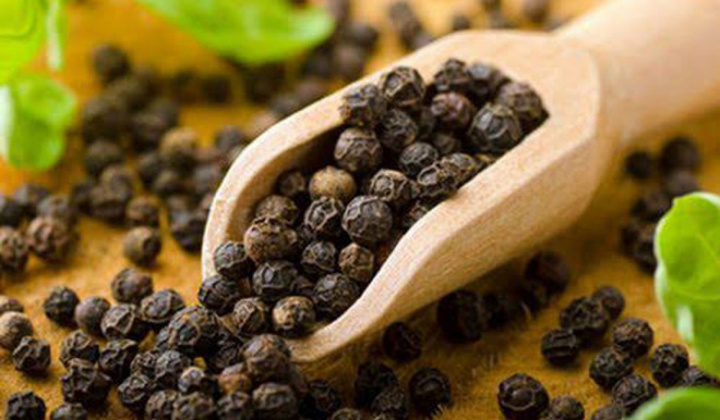 Chưng cất tinh dầu tiêu đen bằng phương pháp lôi cuốn hơi nước