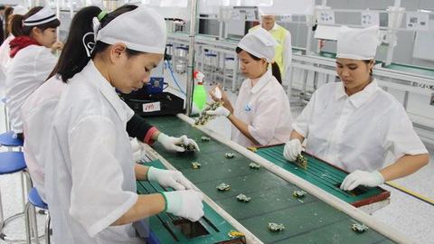 Tác động của FDI và xuất khẩu đến doanh nghiệp thâm dụng lao động của Việt Nam