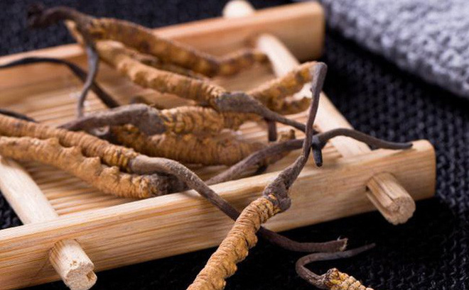 Nghiên cứu quy trình ly trích và xác định hàm lượng Adenosine trong cao ethanol của đông trùng hạ thảo (Cordyceps Militaris) bằng HPLC-PDA