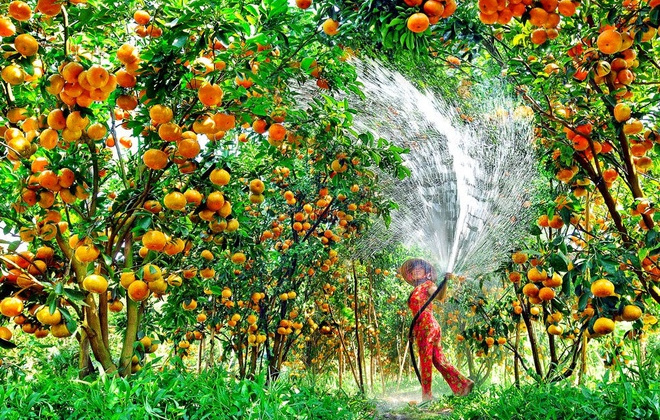 Phát huy lợi thế cạnh tranh điểm đến du lịch tỉnh Tiền Giang