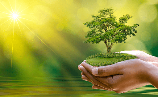 Sự phù hợp về mục tiêu giữa Chương Môi trường trong CPTPP và Chiến lược phát triển bền vững của Việt Nam