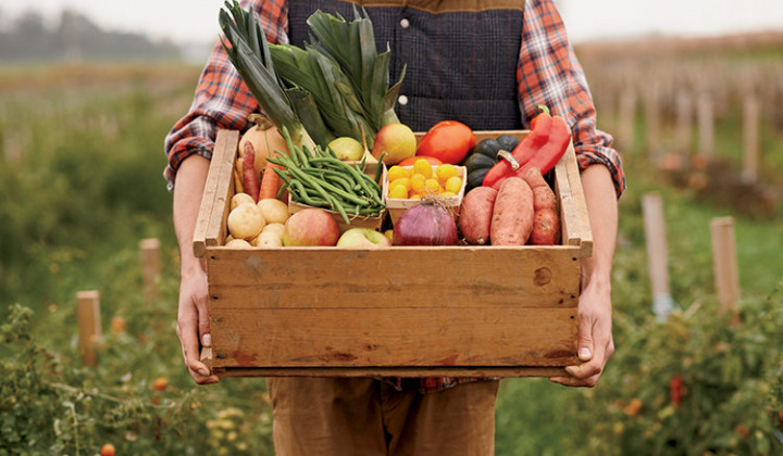 Hành vi mua rau an toàn của người dân thành thị trong điều kiện thông tin bất đối xứng: Trường hợp địa bàn Hà Nội