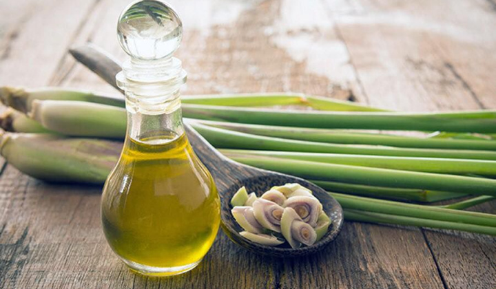 Thu nhận tinh dầu sả java (Cymbopogon winterianus jowitt) tại tỉnh Lâm Đồng bằng phương pháp chưng cất trực tiếp