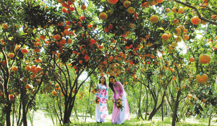 Các điều kiện phát triển du lịch sinh thái miệt vườn tại thành phố Cần Thơ