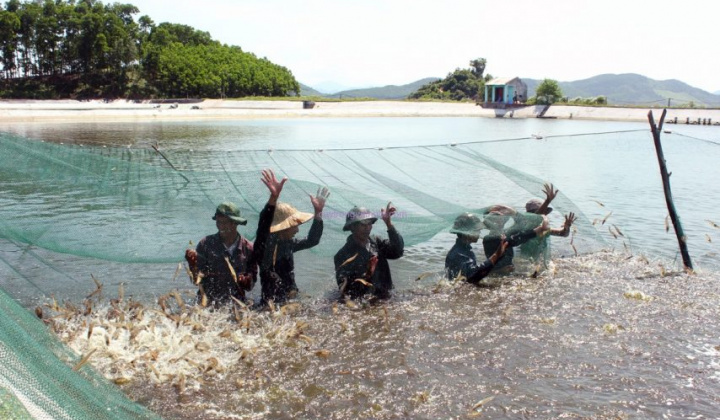 Đánh giá một số chỉ tiêu hóa lý cơ bản trong ao nước nuôi tôm ở huyện Cần Giờ