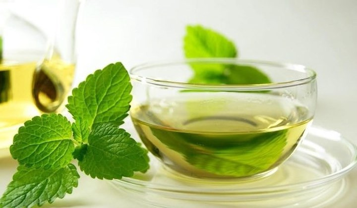 Khảo sát quá trình chế biến trà túi lọc bạc hà (Mentha piperita L.)