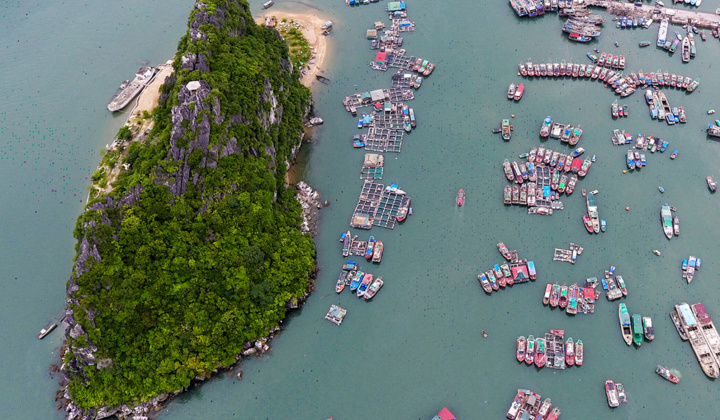 Vai trò của chính quyền địa phương đối với đơn vị hành chính - kinh tế đặc biệt