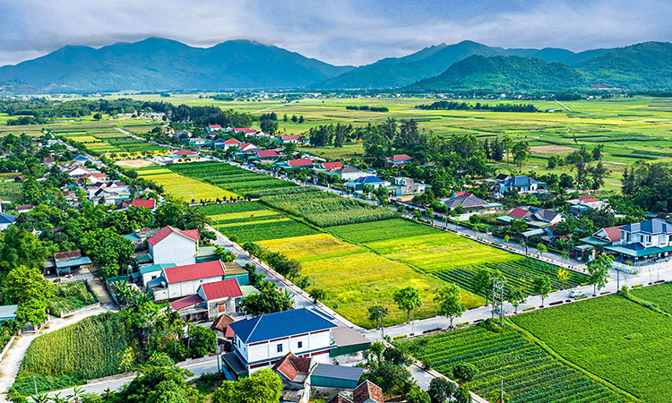 Thành lập BCĐ Trung ương thực hiện Chương trình mục tiêu quốc gia phát triển văn hóa-xã hội, nông thôn, dân tộc và miền núi