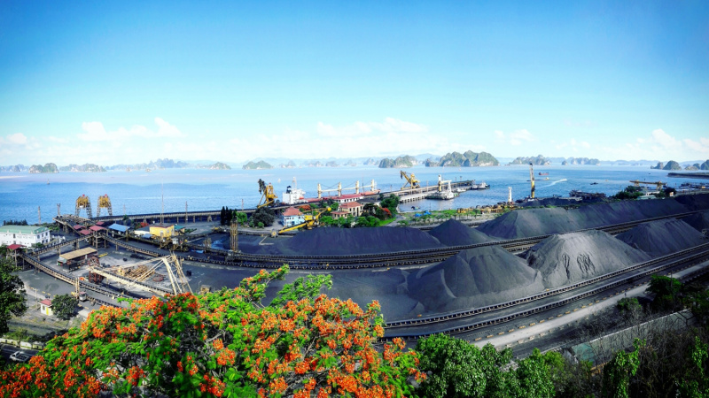 Ban hành nghị định về Cơ chế hoạt động đặc thù của Tập đoàn Công nghiệp Than - Khoáng sản Việt Nam