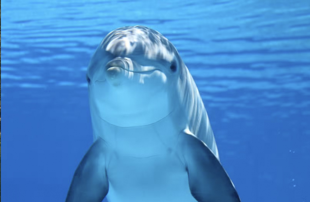 10 sự thật thú vị về Bridgestone -“gã khổng lồ” ngành lốp xe Nhật Bản