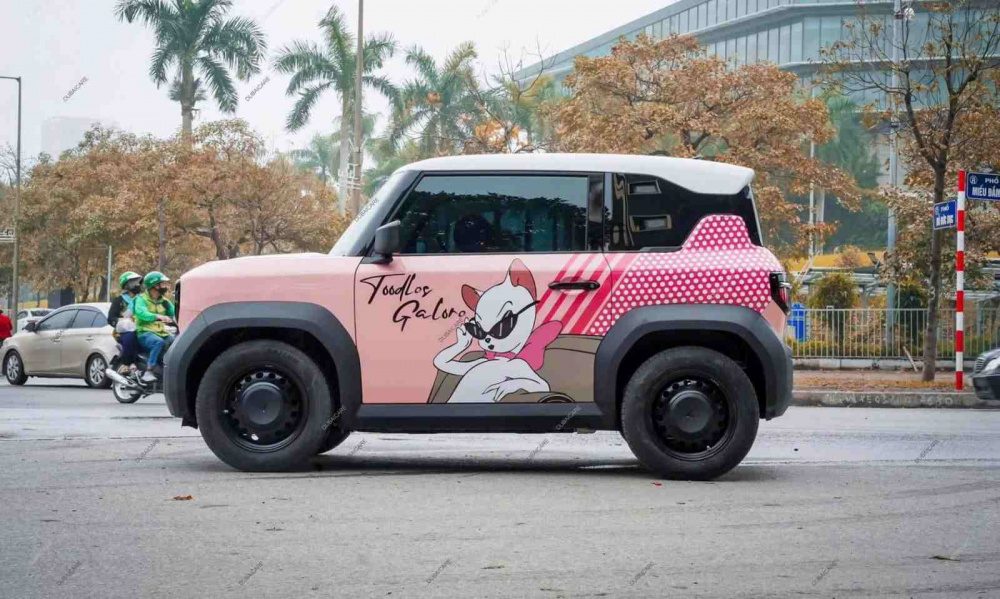 Chị Ly đánh giá VF 3 của mình “quá tiện lợi”