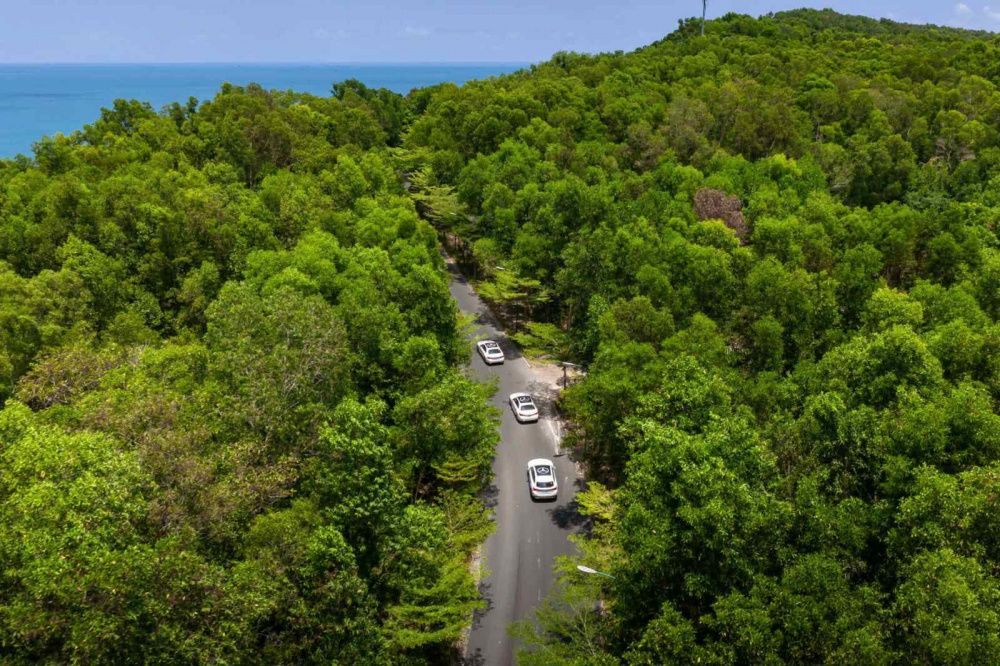 Mercedes-Benz Việt Nam