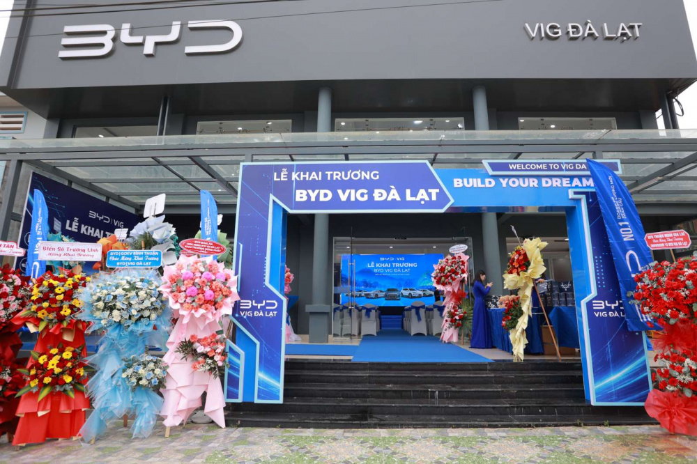 BYD Việt Nam