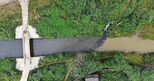 sự cố chất thải