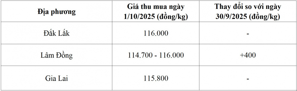 giá cà phê hôm nay