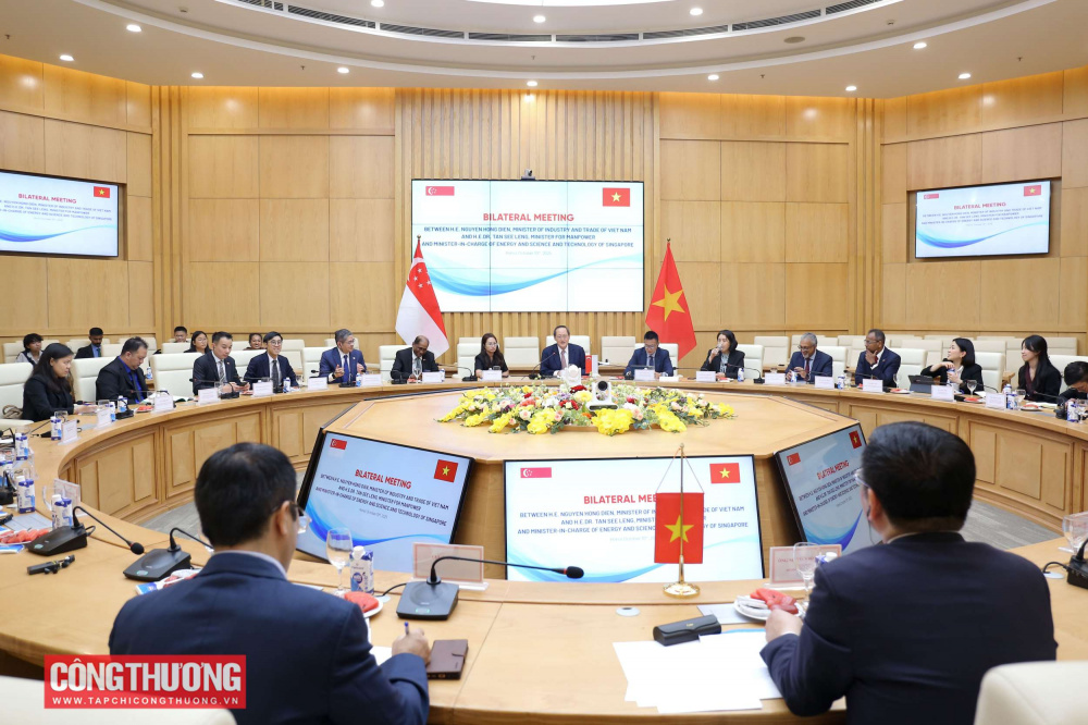 Bộ trưởng Bộ Công Thương Việt Nam Nguyễn Hồng Diên (bên phải) và Bộ trưởng Bộ Công Thương phụ trách năng lượng và khoa học - công nghệ Singapore Tan See Leng (bên trái)