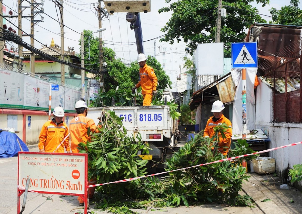 Tổng công ty Điện lực TP. Hồ Chí Minh