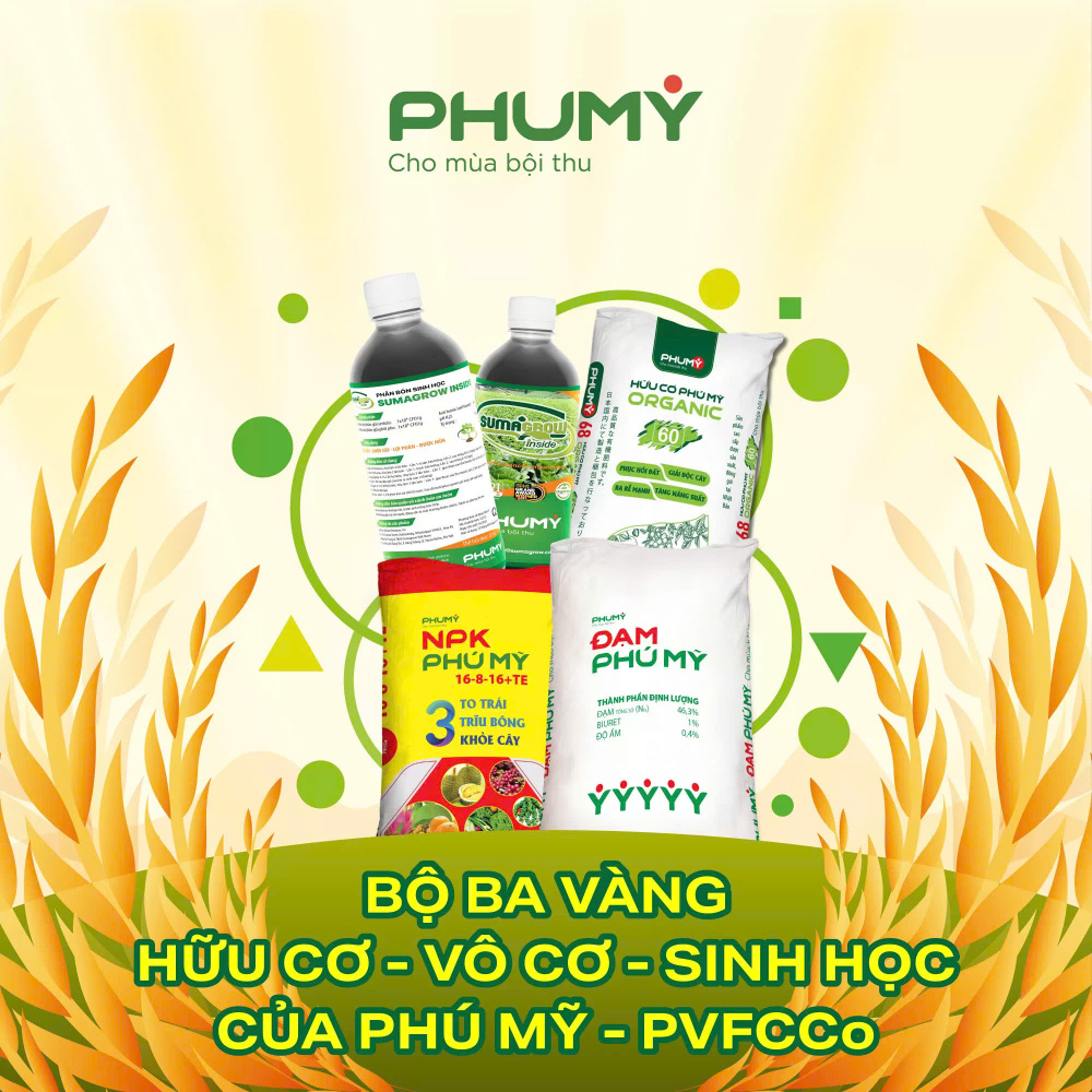 PVFCCo - Phú Mỹ