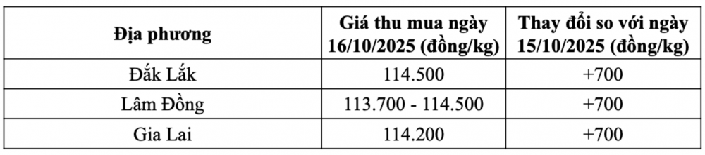 Tham khảo giá cà phê hôm nay ngày 16/10/2025 tại thị trường trong nước (Nguồn: Tạp chí Công Thương tổng hợp)