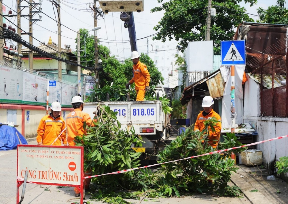 Tổng công ty Điện lực TP.HCM