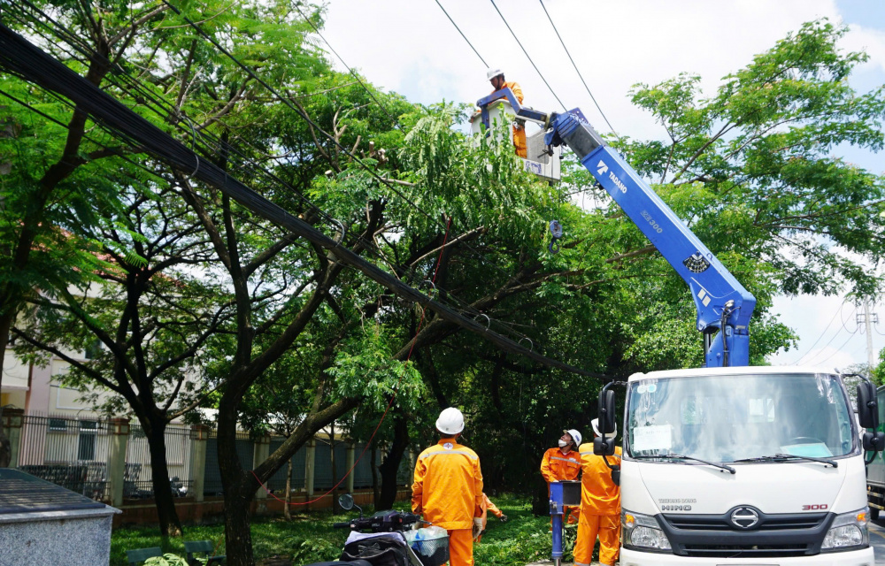 Tổng công ty Điện lực TP.HCM