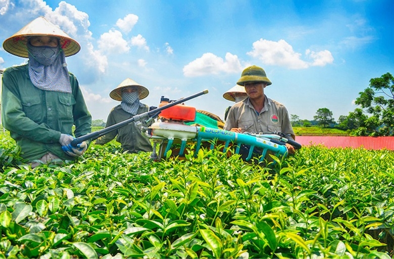 kinh tế tập thể